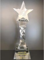 Gold and Silver Exchange Most Active Trader Award 2012-2013