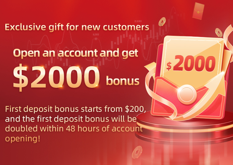 First deposit bonus starts from $200, and the first deposit bonus will be doubled within 48 hours of account opening!